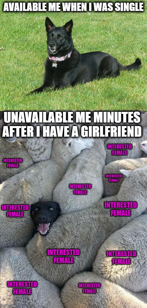 True story | AVAILABLE ME WHEN I WAS SINGLE; UNAVAILABLE ME MINUTES AFTER I HAVE A GIRLFRIEND; INTERESTED FEMALE; INTERESTED FEMALE; INTERESTED FEMALE; INTERESTED FEMALE; INTERESTED FEMALE; INTERESTED FEMALE; INTERESTED FEMALE; INTERESTED FEMALE; INTERESTED FEMALE; INTERESTED FEMALE | image tagged in dating,women | made w/ Imgflip meme maker