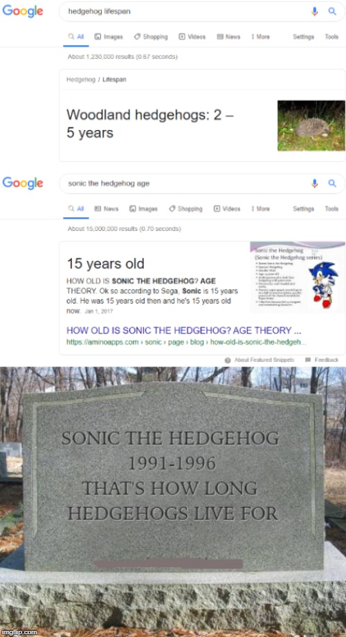 R.I.P | image tagged in memes,sonic the hedgehog,gravestone,rip | made w/ Imgflip meme maker