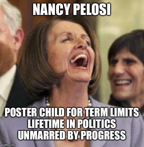 NANCY PELOSI; POSTER CHILD FOR TERM LIMITS
LIFETIME IN POLITICS
UNMARRED BY PROGRESS | image tagged in nancy pelosi,politicians laughing,politicians suck,double standards,dumbass,gun control | made w/ Imgflip meme maker