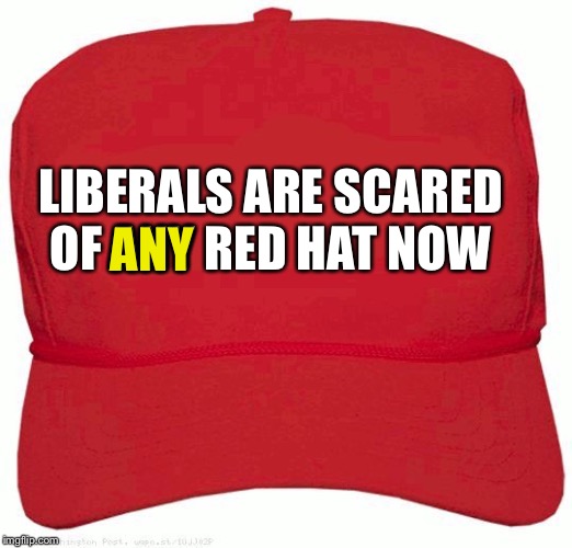 You can't make this sh!t up lol | ANY; LIBERALS ARE SCARED OF ANY RED HAT NOW | image tagged in red hat | made w/ Imgflip meme maker