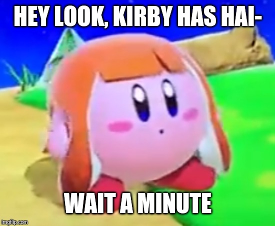 Inkling Kirby | HEY LOOK, KIRBY HAS HAI-; WAIT A MINUTE | image tagged in inkling kirby,kirby,splatoon,inkling,memes | made w/ Imgflip meme maker