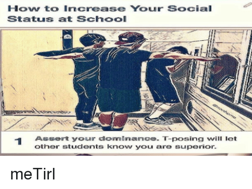 t-pose Memes