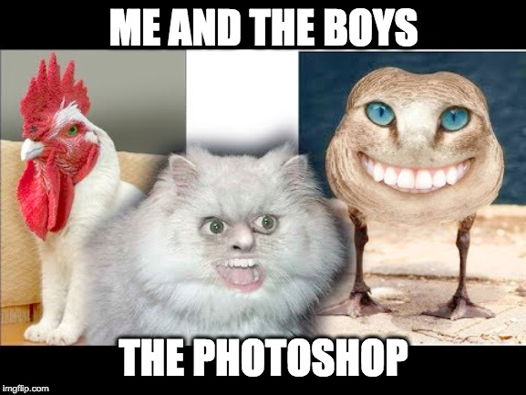 ME AND THE BOYS; THE PHOTOSHOP | image tagged in dank memes,photoshop,me and the boys,boys vs girls | made w/ Imgflip meme maker