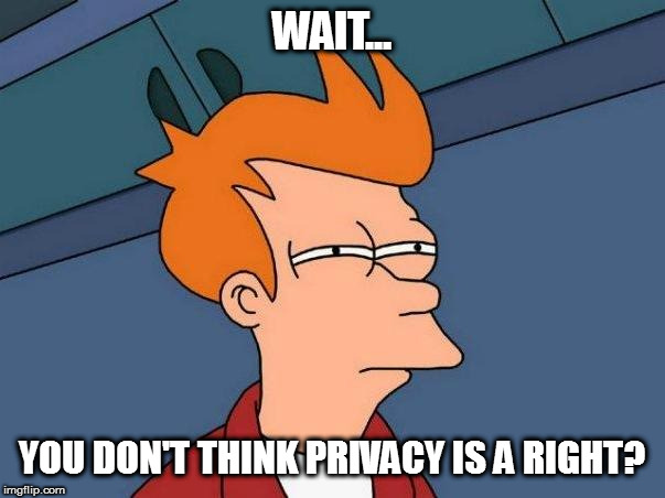 skeptical fry | WAIT... YOU DON'T THINK PRIVACY IS A RIGHT? | image tagged in skeptical fry | made w/ Imgflip meme maker