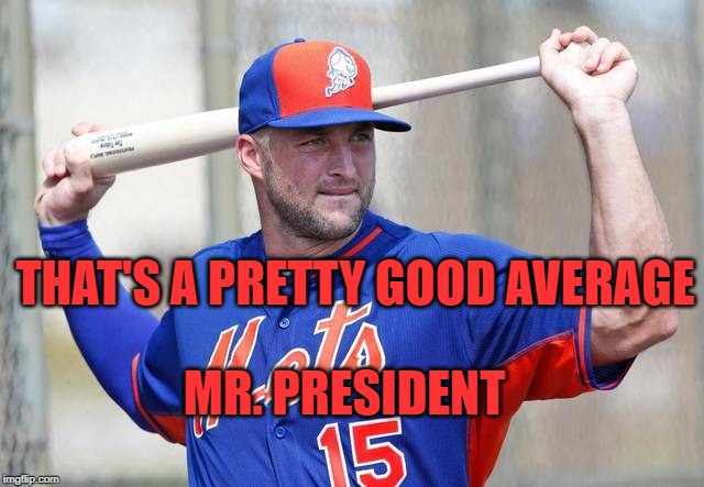 baseball tebow | MR. PRESIDENT THAT'S A PRETTY GOOD AVERAGE | image tagged in baseball tebow | made w/ Imgflip meme maker
