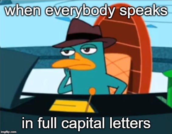 Perry the Platypus - Just No | when everybody speaks; in full capital letters | image tagged in just no | made w/ Imgflip meme maker