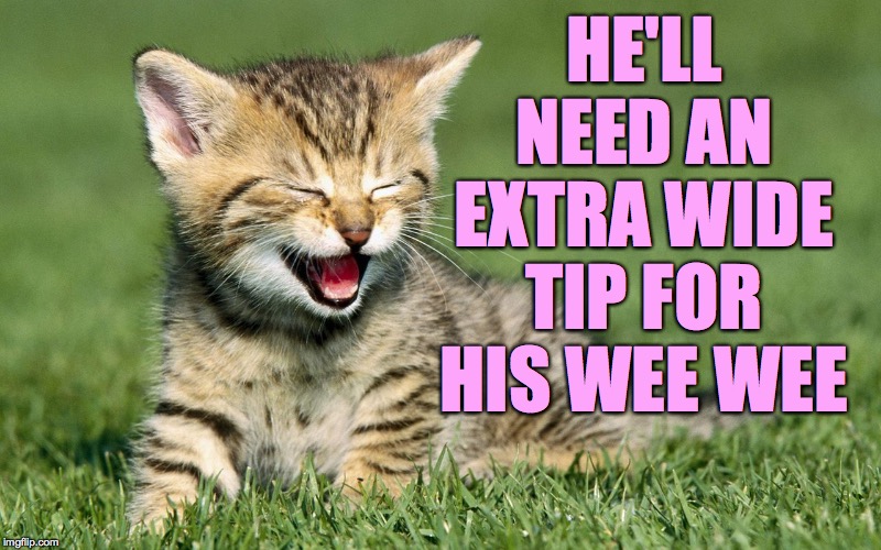 laughing cat | HE'LL NEED AN EXTRA WIDE TIP FOR HIS WEE WEE | image tagged in laughing cat | made w/ Imgflip meme maker