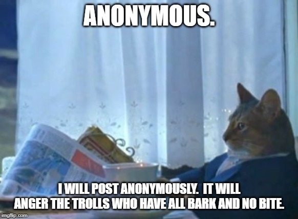 I Should Buy A Boat Cat | ANONYMOUS. I WILL POST ANONYMOUSLY.  IT WILL ANGER THE TROLLS WHO HAVE ALL BARK AND NO BITE. | image tagged in memes,i should buy a boat cat | made w/ Imgflip meme maker