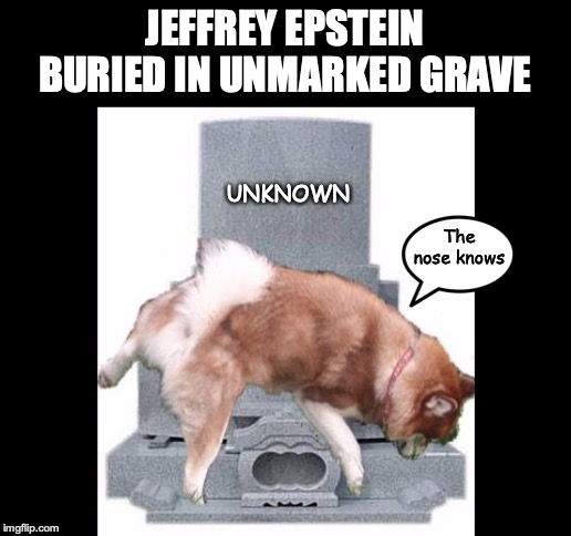 Tribute For A Serial Pedo | JEFFREY EPSTEIN BURIED IN UNMARKED GRAVE; UNKNOWN; The nose knows | image tagged in jeffrey epstein,grave,piss,dog,pedophile | made w/ Imgflip meme maker