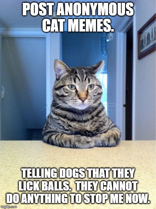 Take A Seat Cat Meme | POST ANONYMOUS CAT MEMES. TELLING DOGS THAT THEY LICK BALLS.  THEY CANNOT DO ANYTHING TO STOP ME NOW. | image tagged in memes,take a seat cat | made w/ Imgflip meme maker