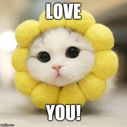 LOVE; YOU! | made w/ Imgflip meme maker