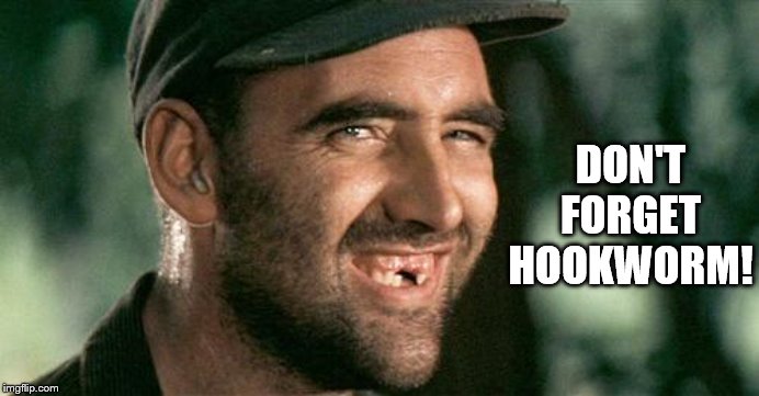 Deliverance HIllbilly | DON'T FORGET HOOKWORM! | image tagged in deliverance hillbilly | made w/ Imgflip meme maker