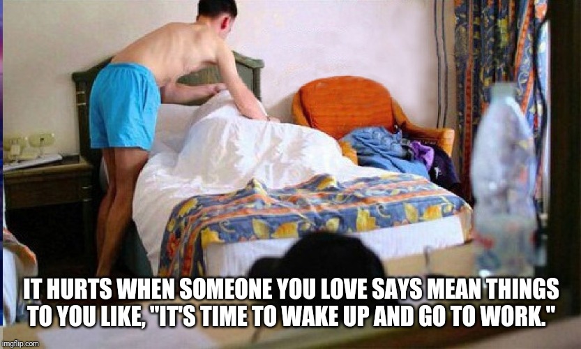 Wake Up! You shit yourself! | IT HURTS WHEN SOMEONE YOU LOVE SAYS MEAN THINGS TO YOU LIKE, "IT'S TIME TO WAKE UP AND GO TO WORK." | image tagged in wake up you shit yourself | made w/ Imgflip meme maker