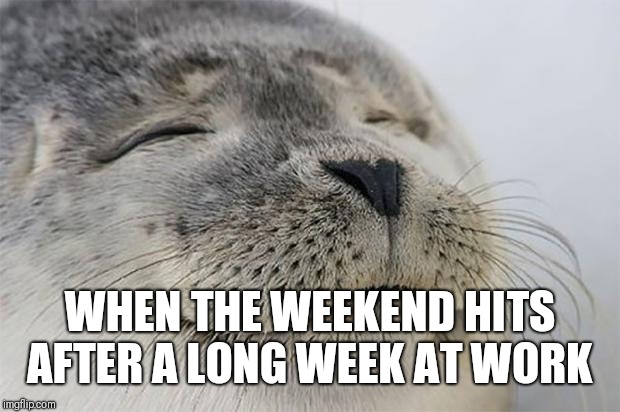 Been a long week, I hope everyone's weekend is awesome! | WHEN THE WEEKEND HITS AFTER A LONG WEEK AT WORK | image tagged in memes,satisfied seal,weekend,yay | made w/ Imgflip meme maker