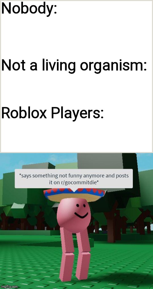 Funny Roblox Discriptions