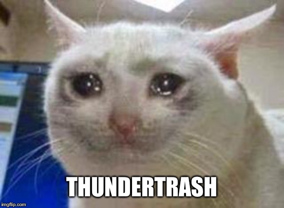 Sad cat | THUNDERTRASH | image tagged in sad cat | made w/ Imgflip meme maker