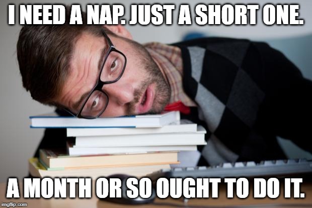Exhausted Man | I NEED A NAP. JUST A SHORT ONE. A MONTH OR SO OUGHT TO DO IT. | image tagged in exhausted man | made w/ Imgflip meme maker