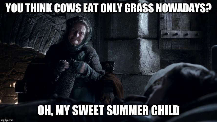 sweet summer child | YOU THINK COWS EAT ONLY GRASS NOWADAYS? OH, MY SWEET SUMMER CHILD | image tagged in sweet summer child | made w/ Imgflip meme maker