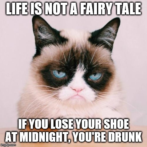 grumpy cat again | LIFE IS NOT A FAIRY TALE; IF YOU LOSE YOUR SHOE AT MIDNIGHT, YOU'RE DRUNK | image tagged in grumpy cat again | made w/ Imgflip meme maker
