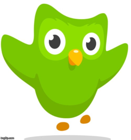 Duolingo Owl | image tagged in duolingo owl | made w/ Imgflip meme maker