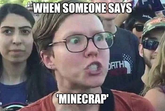 Triggered Liberal | WHEN SOMEONE SAYS; 'MINECRAP' | image tagged in triggered liberal | made w/ Imgflip meme maker