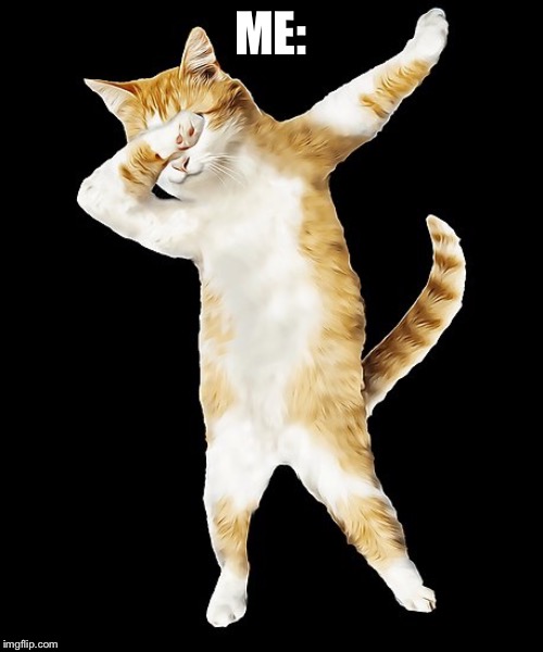 dabbing cat | ME: | image tagged in dabbing cat | made w/ Imgflip meme maker