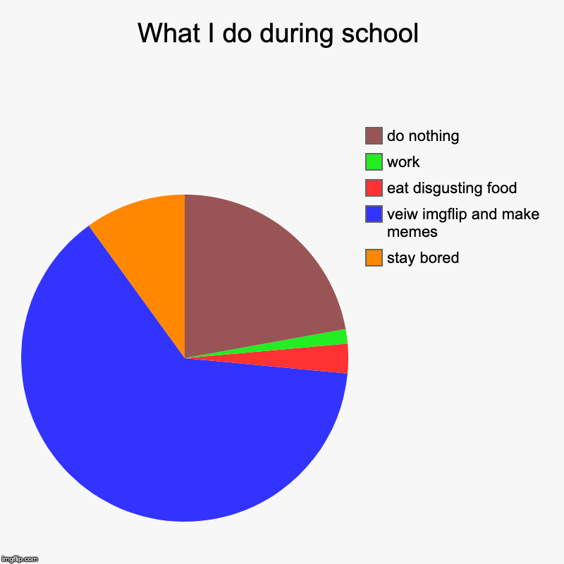 What I do during school | stay bored, veiw imgflip and make memes, eat disgusting food, work, do nothing | image tagged in charts,pie charts | made w/ Imgflip chart maker