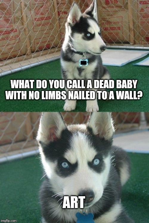 Insanity Puppy | WHAT DO YOU CALL A DEAD BABY WITH NO LIMBS NAILED TO A WALL? ART | image tagged in memes,insanity puppy | made w/ Imgflip meme maker