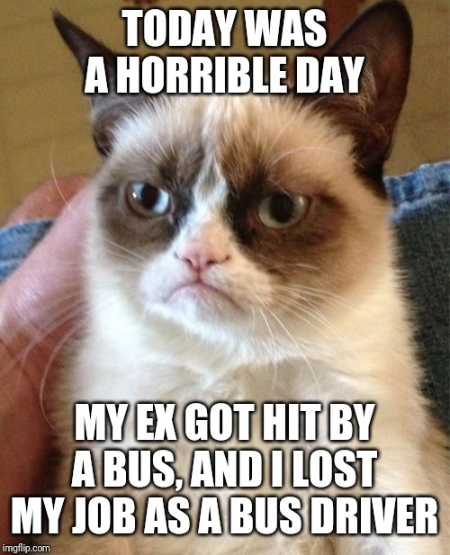 Grumpy Cat | TODAY WAS A HORRIBLE DAY; MY EX GOT HIT BY A BUS, AND I LOST MY JOB AS A BUS DRIVER | image tagged in memes,grumpy cat | made w/ Imgflip meme maker