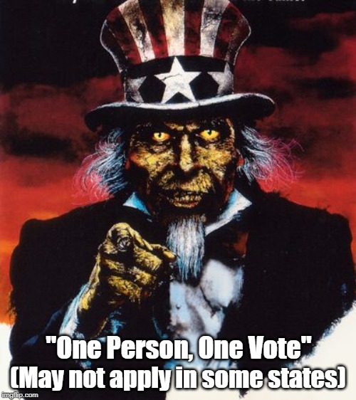 "One Person, One Vote" | "One Person, One Vote" (May not apply in some states) | image tagged in electoral college,voter suppression,citizens united,gerrymandering,voter fraud,the gop is the party of dirty tricks | made w/ Imgflip meme maker