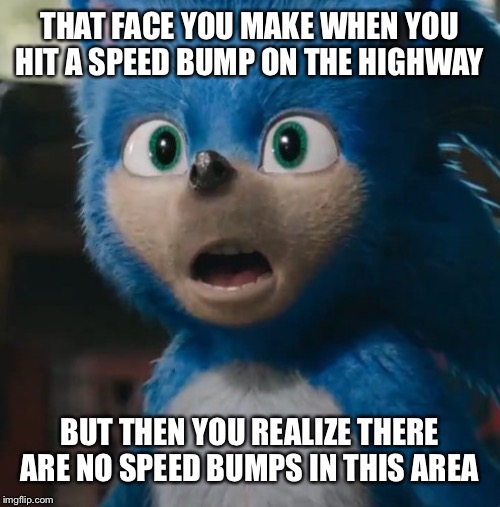 Sonic Movie | THAT FACE YOU MAKE WHEN YOU HIT A SPEED BUMP ON THE HIGHWAY; BUT THEN YOU REALIZE THERE ARE NO SPEED BUMPS IN THIS AREA | image tagged in sonic movie | made w/ Imgflip meme maker