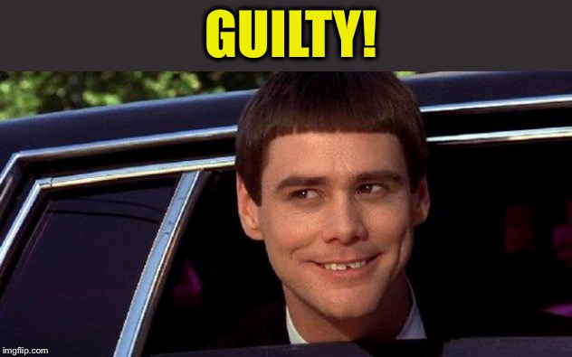 dumb and dumber | GUILTY! | image tagged in dumb and dumber | made w/ Imgflip meme maker