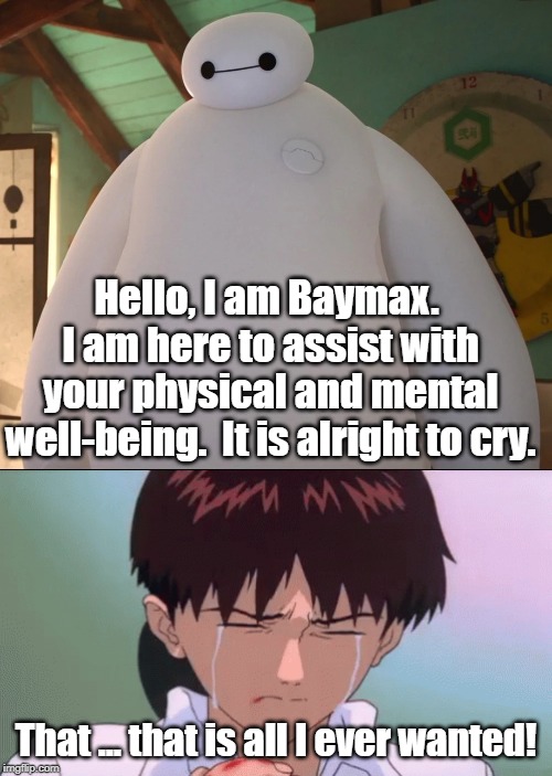 Shinji finally gets the help he needed. | Hello, I am Baymax.  I am here to assist with your physical and mental well-being.  It is alright to cry. That ... that is all I ever wanted! | image tagged in baymax,neon genesis evangelion | made w/ Imgflip meme maker