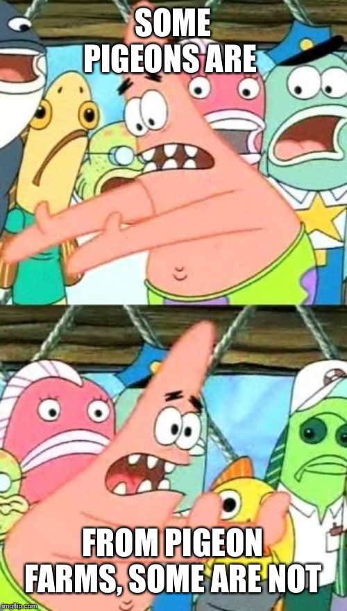 Put It Somewhere Else Patrick Meme | SOME PIGEONS ARE FROM PIGEON FARMS, SOME ARE NOT | image tagged in memes,put it somewhere else patrick | made w/ Imgflip meme maker