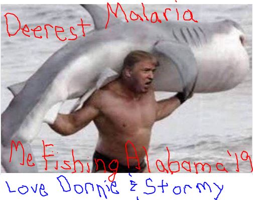 High Quality Trump Fishing Alabama with Stormy Blank Meme Template