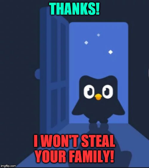 Duolingo bird | THANKS! I WON'T STEAL YOUR FAMILY! | image tagged in duolingo bird | made w/ Imgflip meme maker