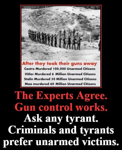 The Experts agree. Gun control works. | image tagged in tyranny,tyrants,2nd amendment,self defense,gun rights,genocide | made w/ Imgflip meme maker