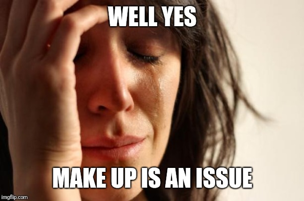 First World Problems Meme | WELL YES MAKE UP IS AN ISSUE | image tagged in memes,first world problems | made w/ Imgflip meme maker