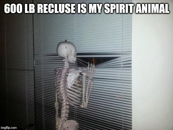 Skeleton Looking Out Window | 600 LB RECLUSE IS MY SPIRIT ANIMAL | image tagged in skeleton looking out window | made w/ Imgflip meme maker