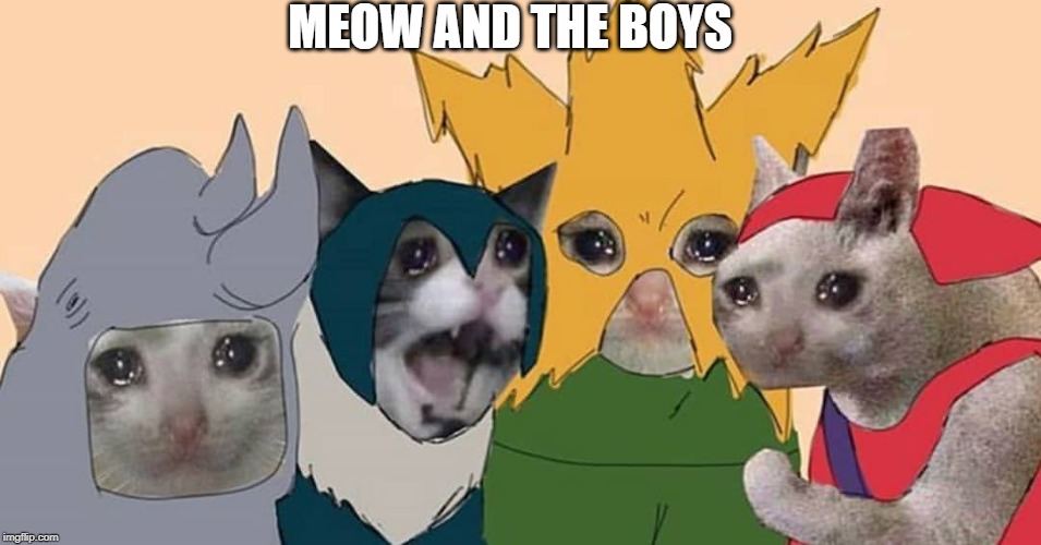 Am I late with this? | MEOW AND THE BOYS | image tagged in cats,me and the boys | made w/ Imgflip meme maker