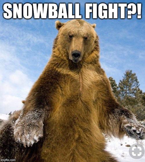 SNOWBALL FIGHT?! | made w/ Imgflip meme maker