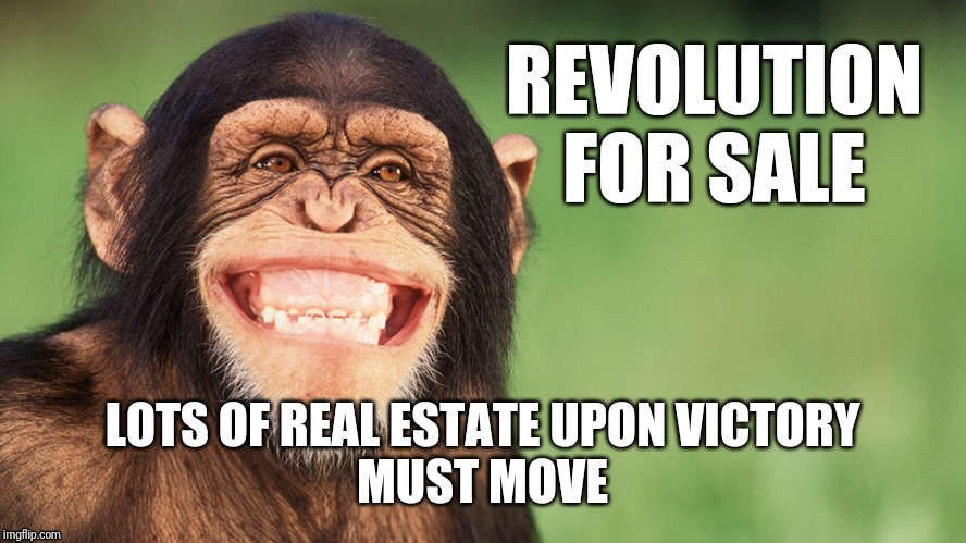 Revolution Real Estate | LOTS OF REAL ESTATE UPON VICTORY

MUST MOVE | image tagged in revolution,real estate | made w/ Imgflip meme maker