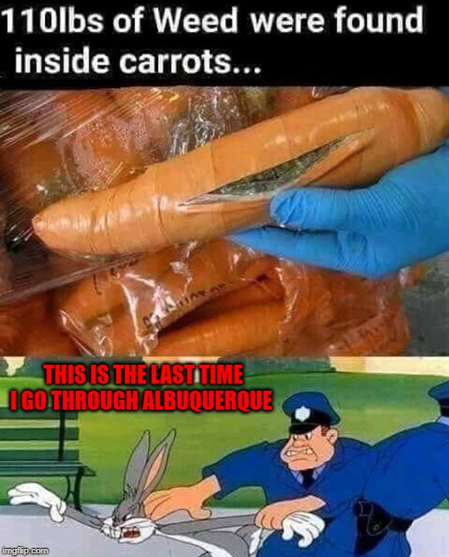 Busted Bunny!!! | THIS IS THE LAST TIME I GO THROUGH ALBUQUERQUE | image tagged in carrot buds,memes,bugs bunny,funny,albuquerque,busted bunny | made w/ Imgflip meme maker