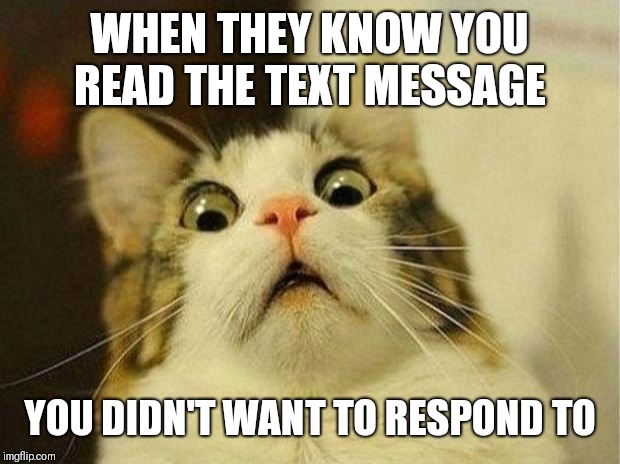 Scared Cat Meme | WHEN THEY KNOW YOU READ THE TEXT MESSAGE; YOU DIDN'T WANT TO RESPOND TO | image tagged in memes,scared cat | made w/ Imgflip meme maker