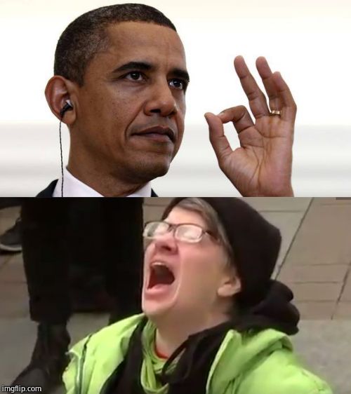 image tagged in obama zero,screaming liberal | made w/ Imgflip meme maker