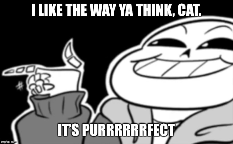 Ya like puns? | I LIKE THE WAY YA THINK, CAT. IT’S PURRRRRRFECT | image tagged in ya like puns | made w/ Imgflip meme maker
