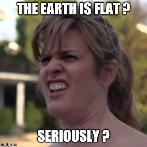 seriously? | THE EARTH IS FLAT ? SERIOUSLY ? | image tagged in seriously | made w/ Imgflip meme maker