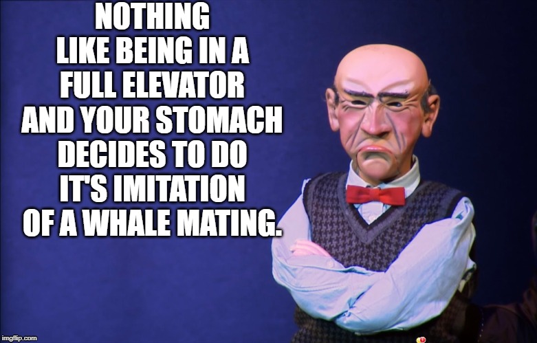 Walter in Elevator | NOTHING LIKE BEING IN A FULL ELEVATOR AND YOUR STOMACH DECIDES TO DO IT'S IMITATION OF A WHALE MATING. | image tagged in jeff dunham walter,elevator,imitation,stomach,noise | made w/ Imgflip meme maker