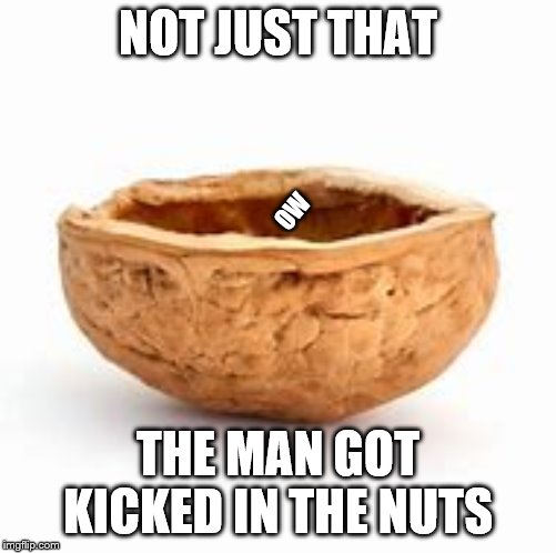 NOT JUST THAT THE MAN GOT KICKED IN THE NUTS OW | made w/ Imgflip meme maker