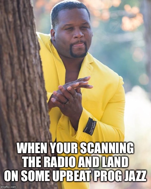 Swing on this | WHEN YOUR SCANNING THE RADIO AND LAND ON SOME UPBEAT PROG JAZZ | image tagged in anthony adams | made w/ Imgflip meme maker